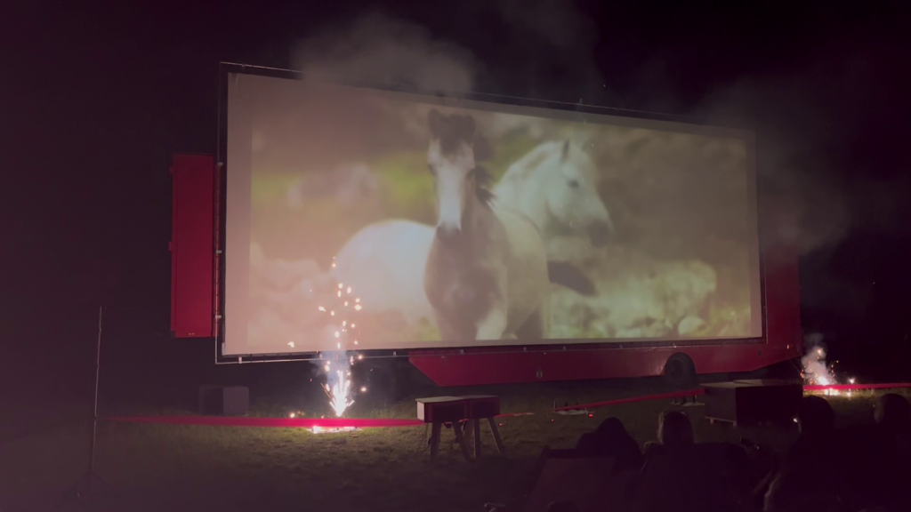 Projekt: Kino Open Air